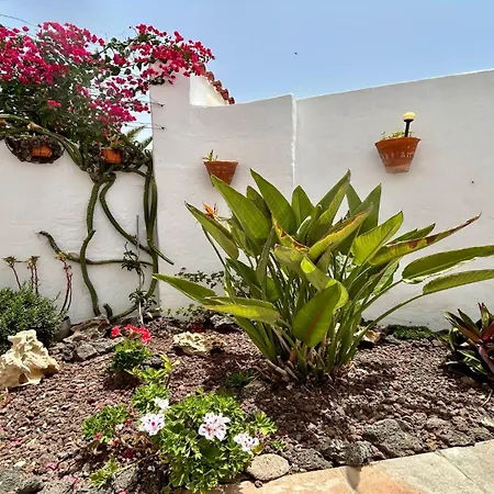 Welooveyou Honey * Costa Calma