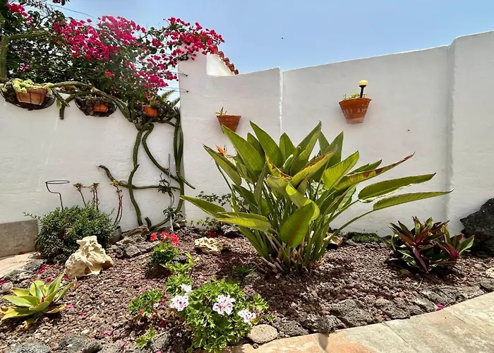 Welooveyou Honey * Costa Calma